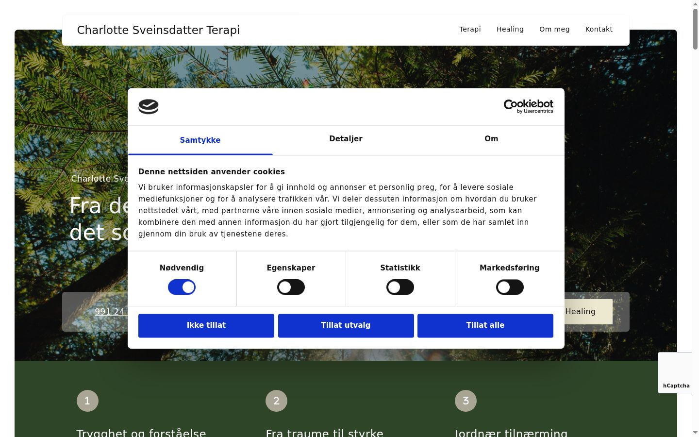 Sutikimo reklamjuostės, rodytos prieš bet kokią sąveiką, ekrano kopija