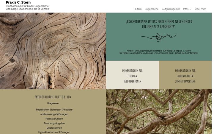 Screenshot of cstern-psychotherapie.de