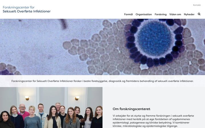 Screenshot of csti.dk