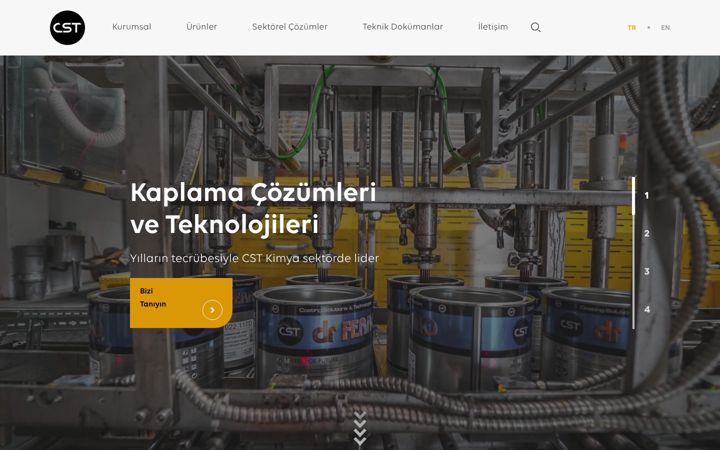 Screenshot of cstkimya.com