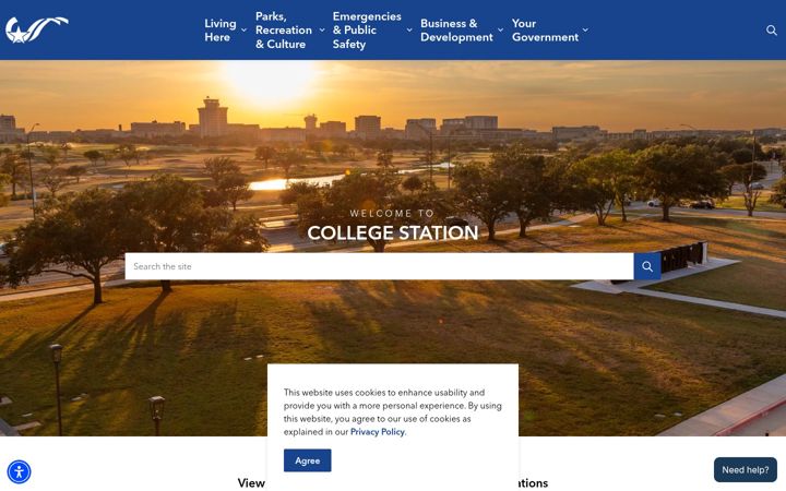 Screenshot of cstx.gov