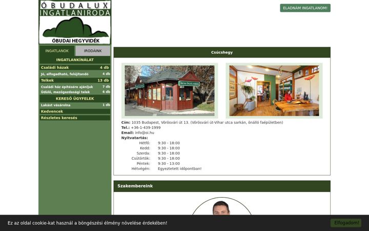 Screenshot di csucshegyi.hu