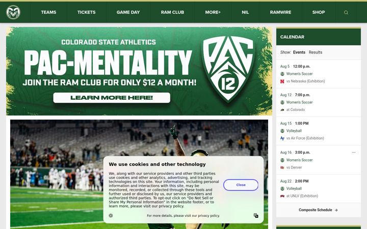 Screenshot of csurams.com