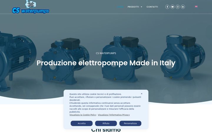 Screenshot of cswaterpumps.eu
