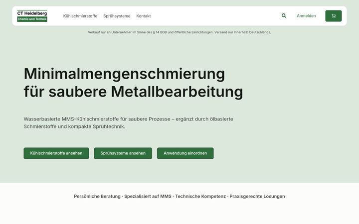 Screenshot of ct-heidelberg.de