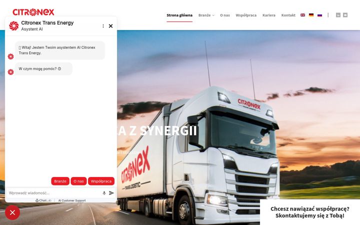 Ekrano kopija ctenergy.pl