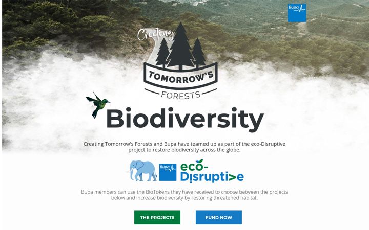 Screenshot of ctf-bupa.com
