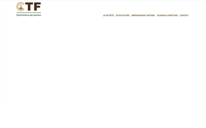 Screenshot of ctf-forestier.com