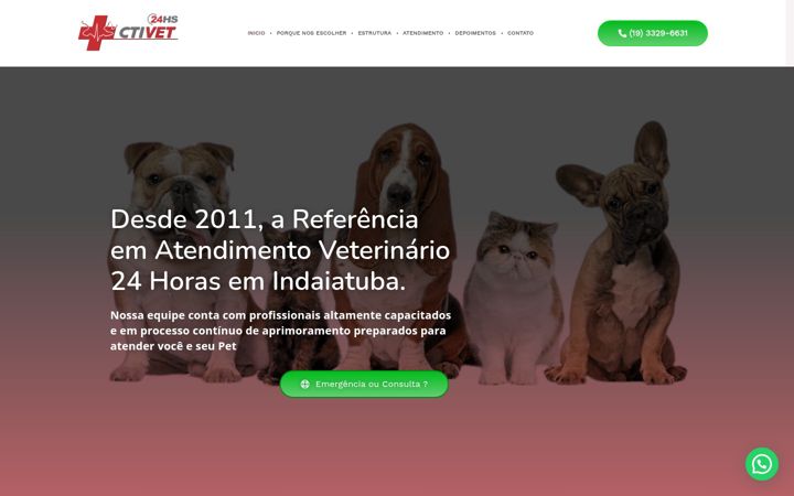 Screenshot di ctivet.com.br