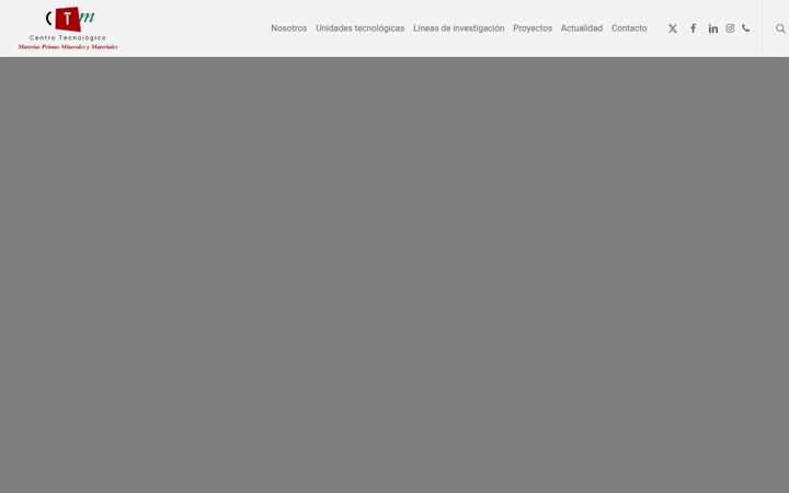 Screenshot of ctmarmol.es