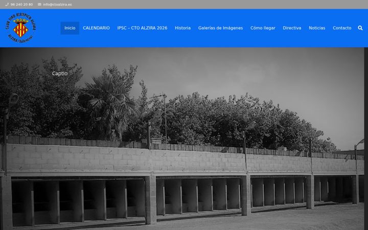 Screenshot of ctoalzira.es