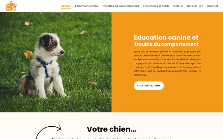 Screenshot of ctoeduccan.com