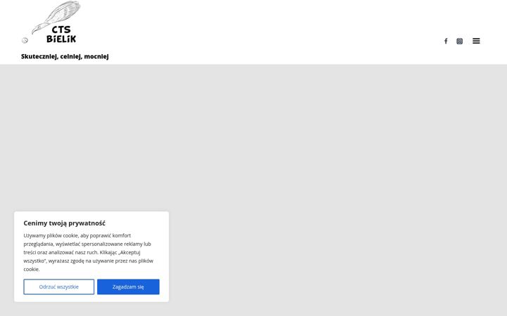 Screenshot di ctsbielik.pl