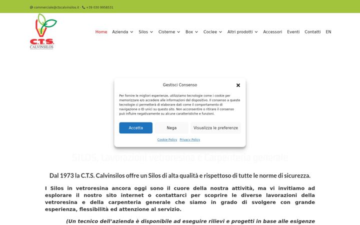 Screenshot of ctscalvinsilos.it