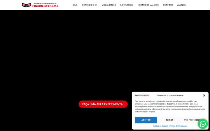 Snímek obrazovky cttigersextreme.com.br