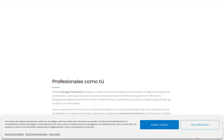 Screenshot of cuatrogasaprofesional.com