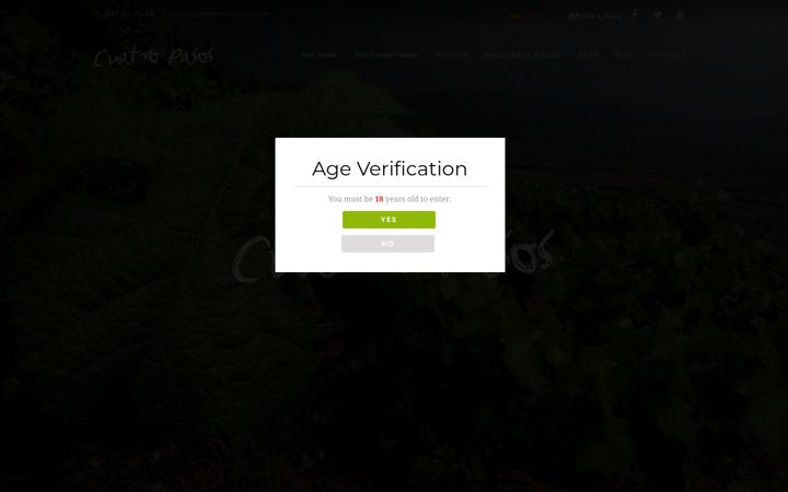 Screenshot of cuatropasos.es