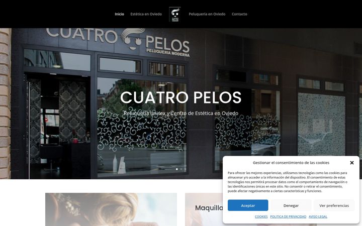 Screenshot of cuatropelos.es