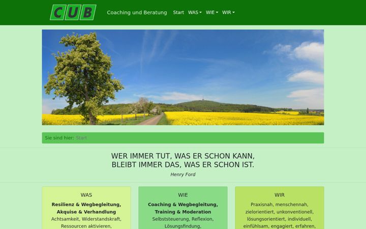 Screenshot of cub-brueckner.de