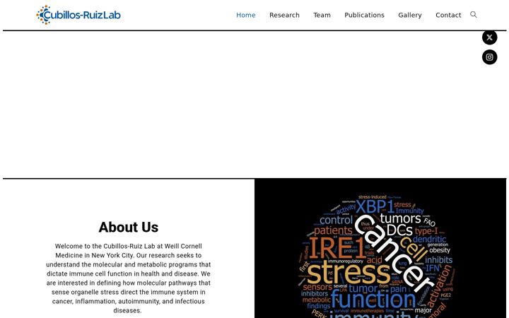 Screenshot of cubillosruizlab.org