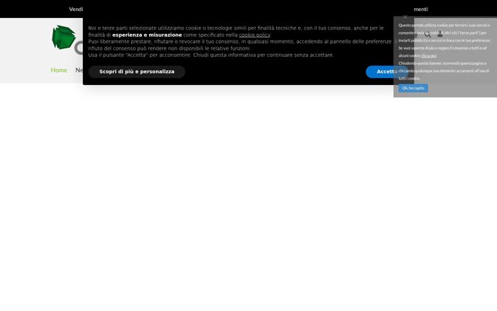 Screenshot of cubocartongessorimini.it