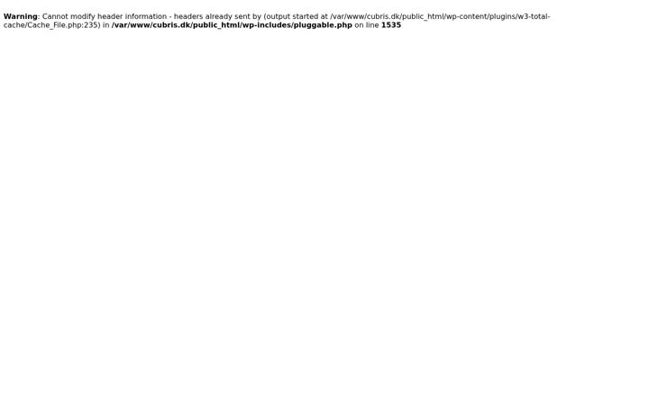 Screenshot of cubris.dk