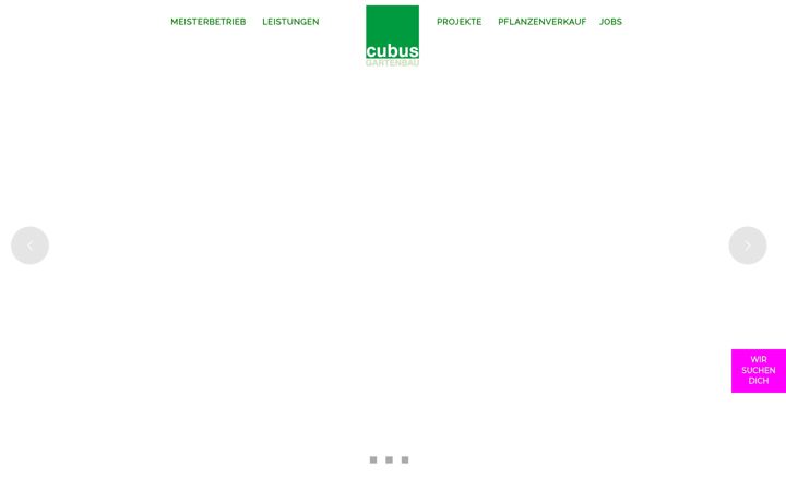 Screenshot of cubus-gartenbau.de