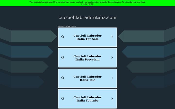 Screenshot of cucciolilabradoritalia.com