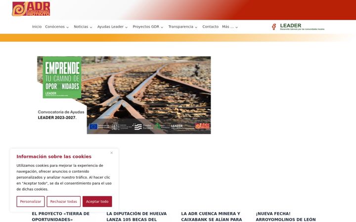 Screenshot of cuenca-minera.es
