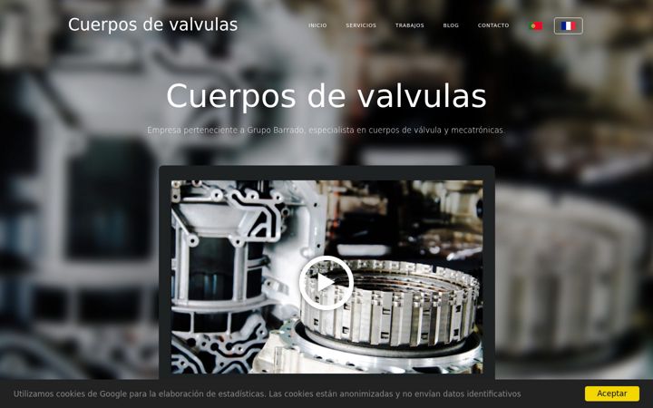 Capture d'écran de cuerposdevalvulas.es