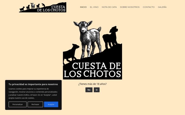 Capture d'écran de cuestadeloschotos.es