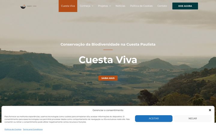 Screenshot of cuestaviva.org.br