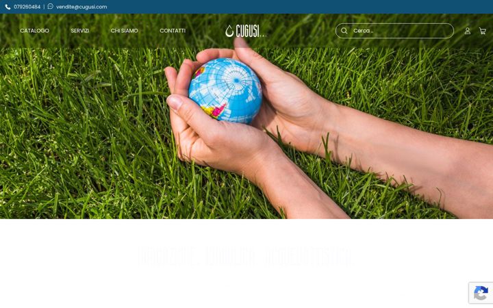 Screenshot of cugusi.com
