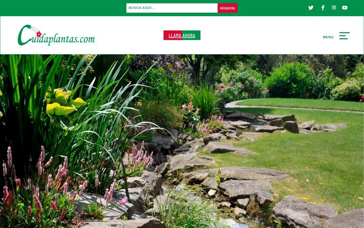 Screenshot of cuidaplantas.com