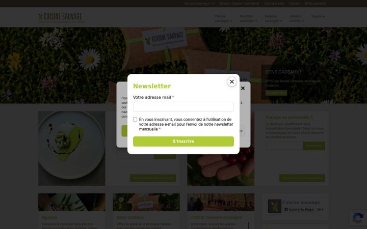 Screenshot of cuisinesauvage.org