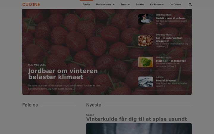 Screenshot of cuizine.dk