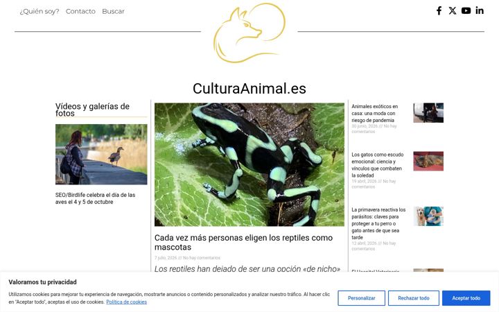 Screenshot of culturaanimal.es
