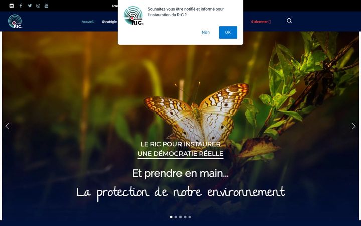 Screenshot of culture-ric.fr