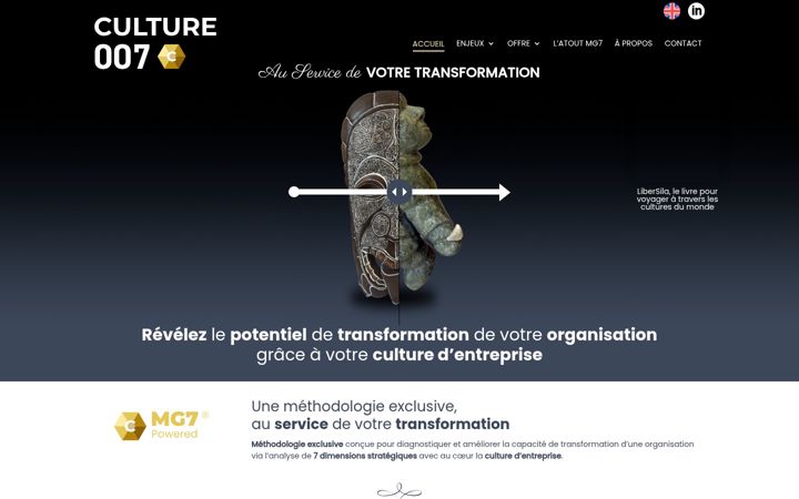 Screenshot van culture007.fr