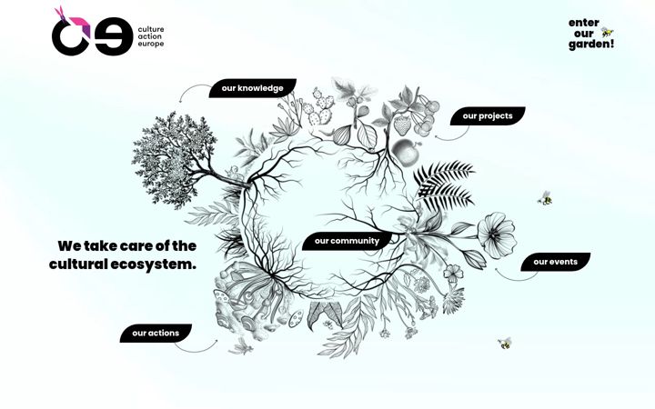 Screenshot of cultureactioneurope.org