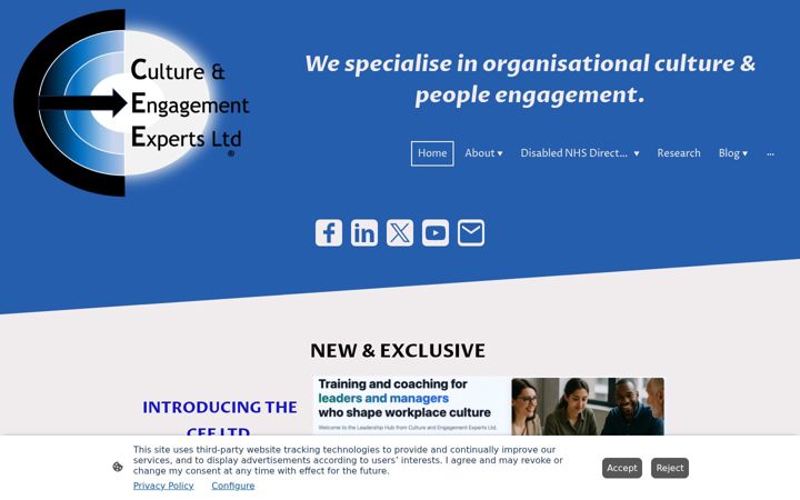 Screenshot of cultureengagementexperts.co.uk