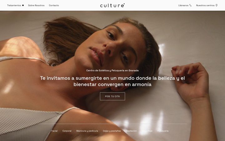 Screenshot of cultureprofessional.es