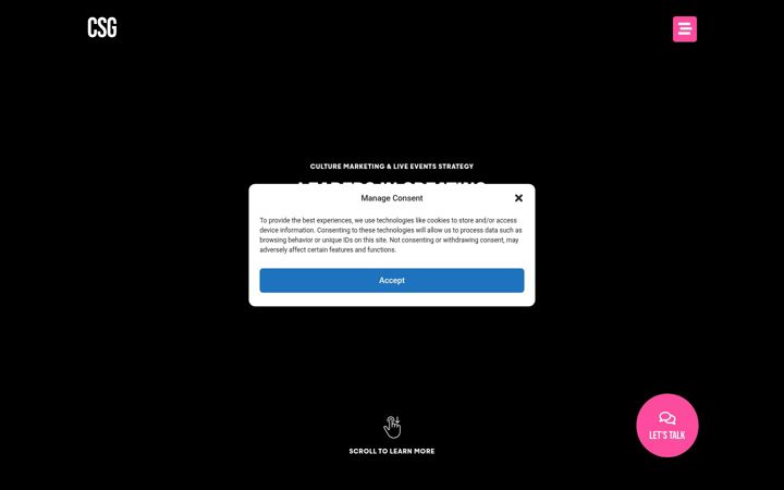 Screenshot of culturestrategygroup.com