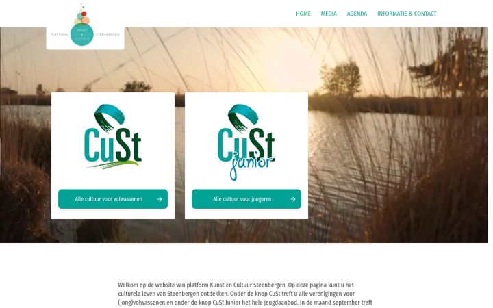Screenshot of cultuursteenbergen.nl