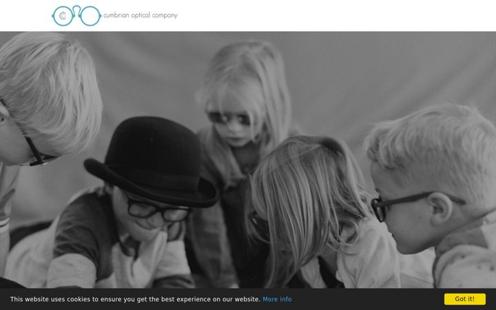 Screenshot of cumbrianopticalcompany.co.uk