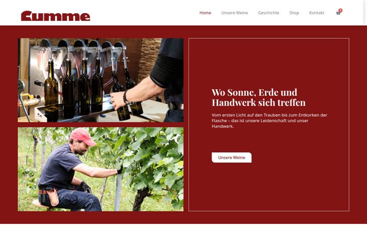 Screenshot of cumme.ch