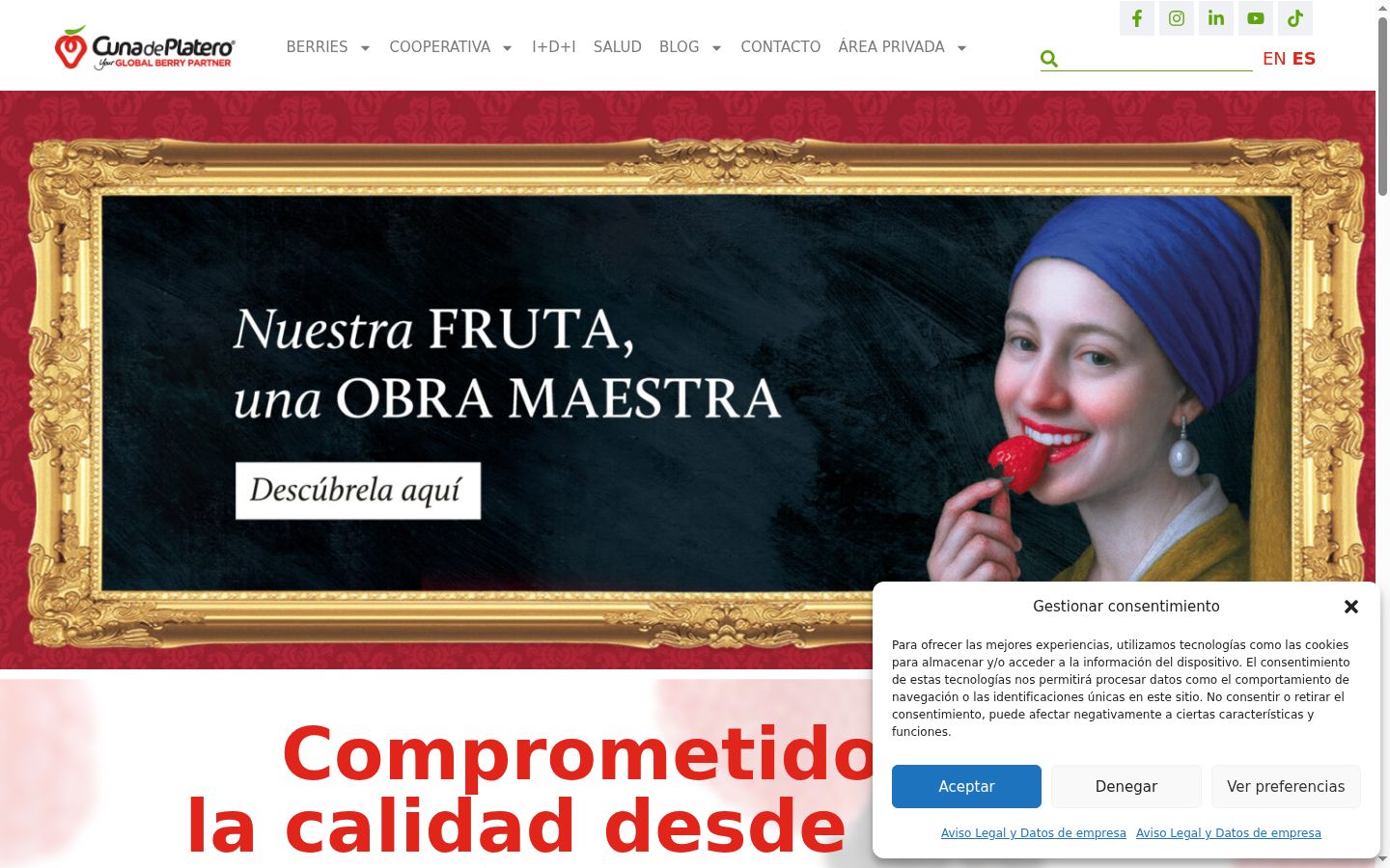 Captura de pantalla del banner de consentimiento mostrado antes de cualquier interacción