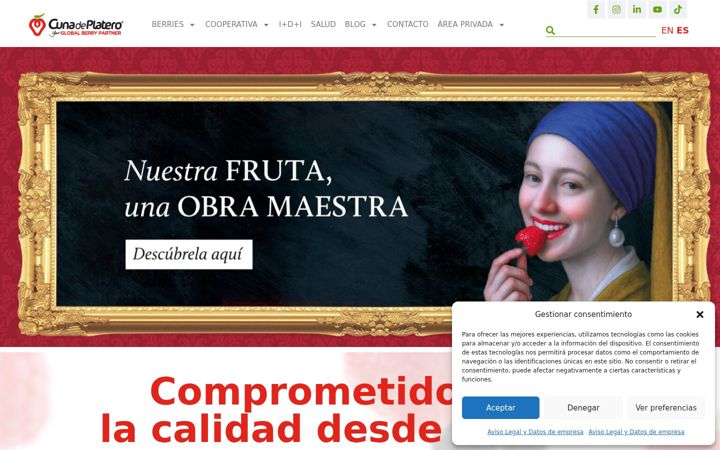 Screenshot of cunadeplatero.com