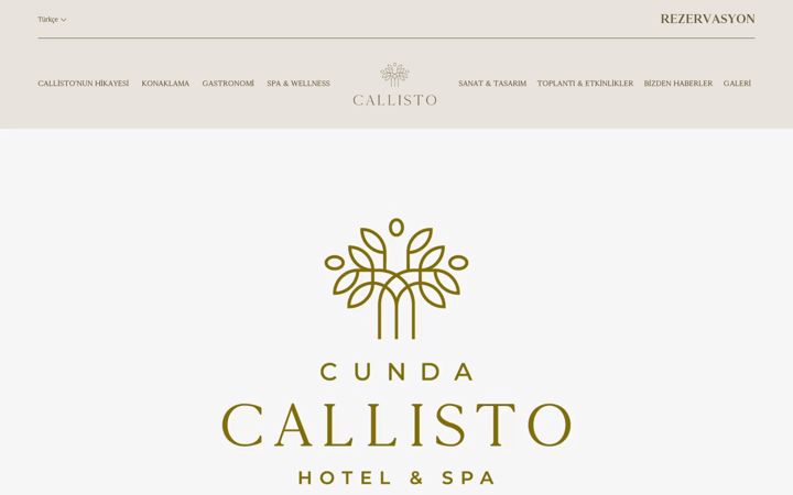 Screenshot of cundacallistohotel.com