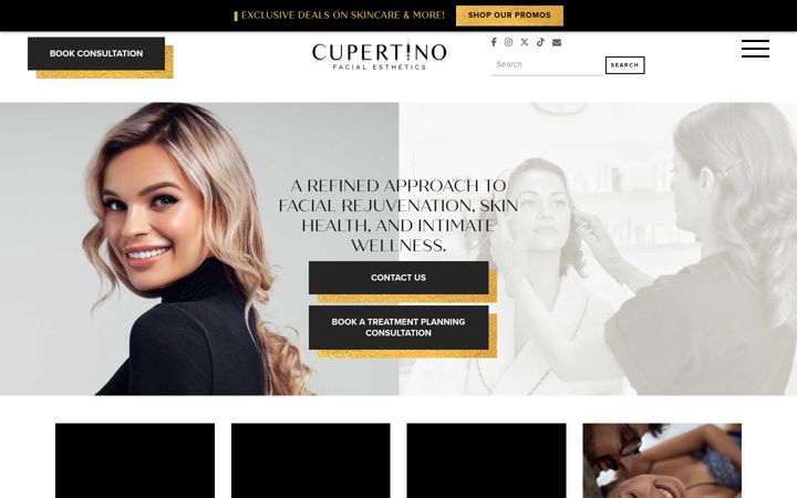 Screenshot of cupertinofacialesthetics.com